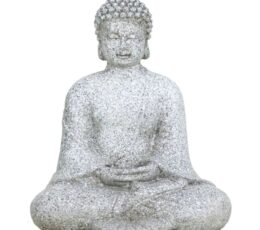MEDITEERIV BUDDHA KUJU